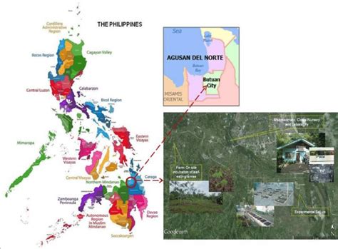 capitol butuan city address|Google Maps.